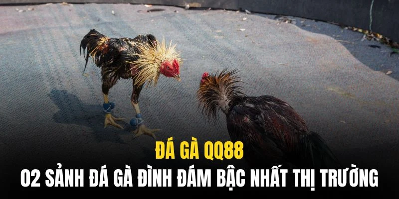 Hai sảnh trò chơi hàng đầu mang lại sự sôi động đặc biệt